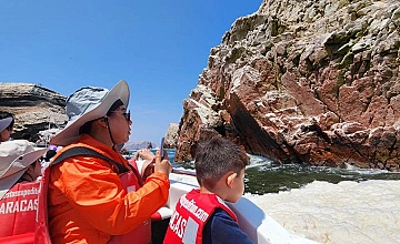Navegación a Islas Ballestas desde Paracas: viajeros observando acantilados